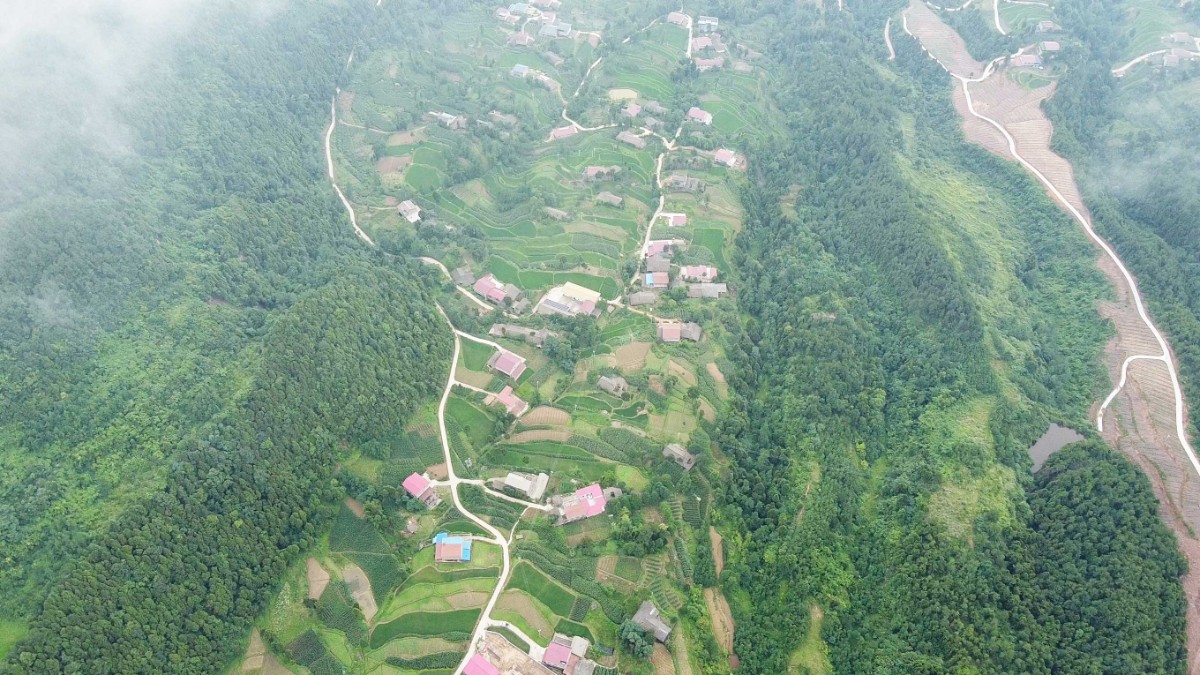 DJI_0974.00_01_23_21.靜止001-11.jpg